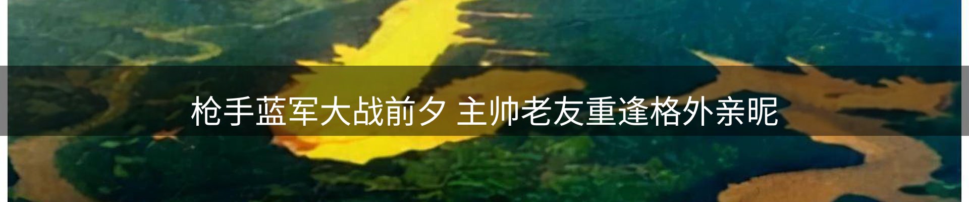 企业视角