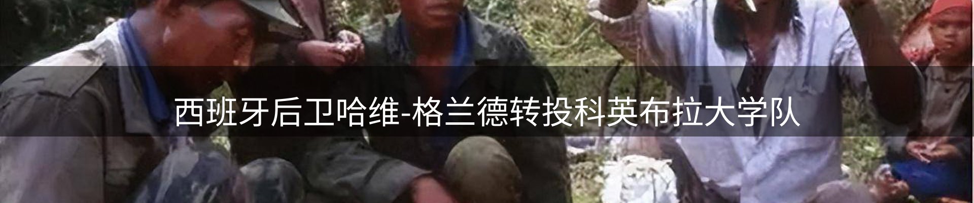 企业视角